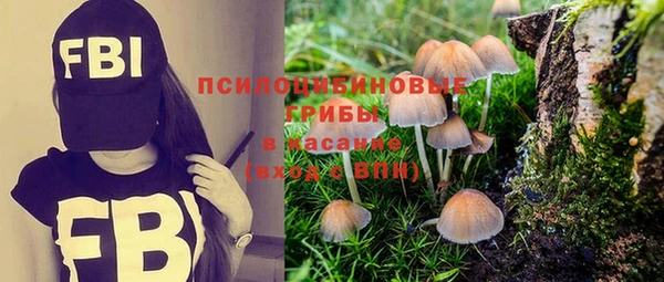 гидропоника Барнаул