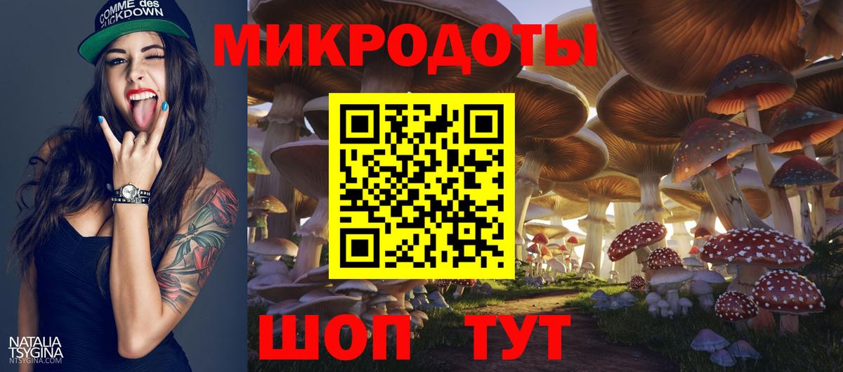 Псилоцибиновые грибы Psilocybe  Галлюциногенные грибы GOLDEN TEACHER  Камень-на-Оби  Вход с VPN 