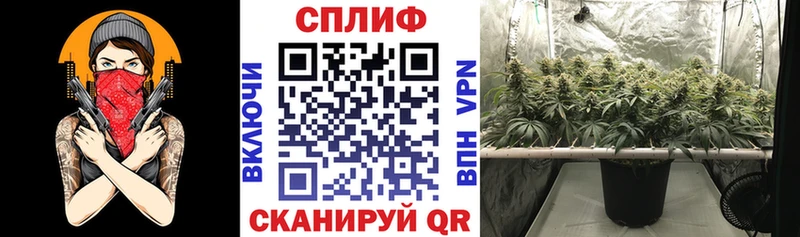 продажа наркотиков  Камень-на-Оби  блэк спрут ссылки  Конопля марихуана 